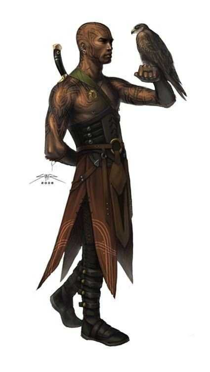Narl Image.png
